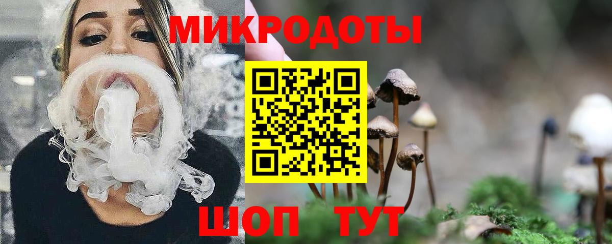 Псилоцибиновые грибы Psilocybe Новочеркасск